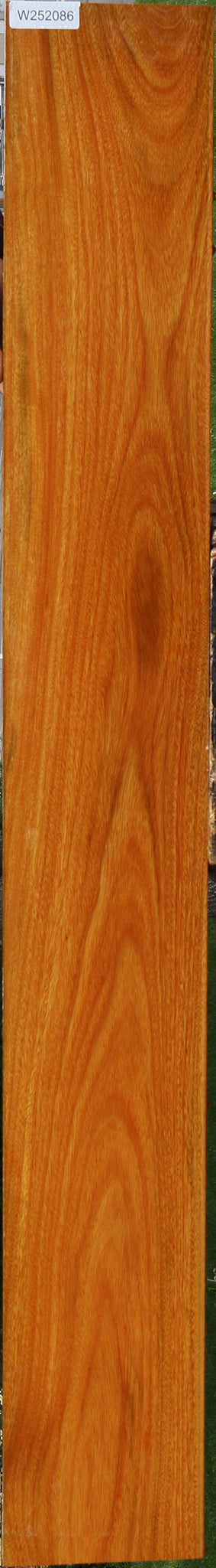 Argentine Osage Orange Lumber