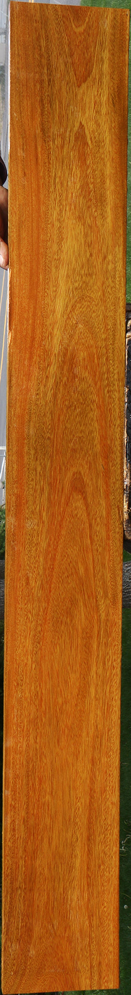 Argentine Osage Orange Lumber