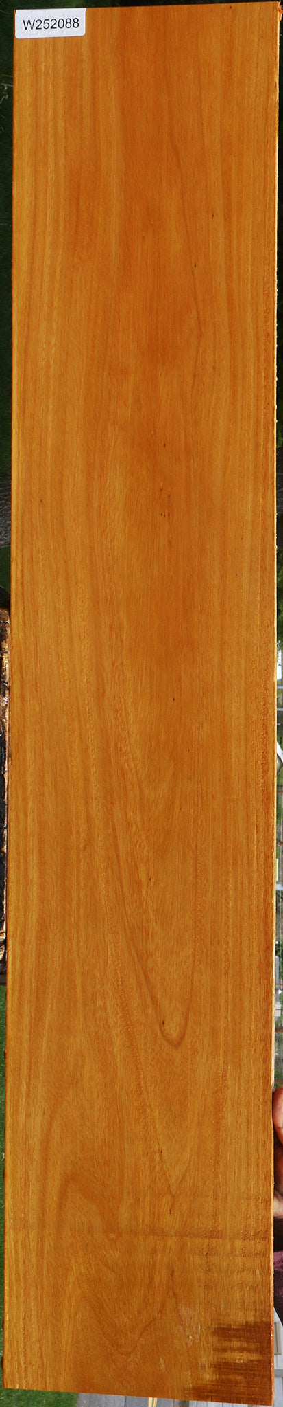 Argentine Osage Orange Lumber