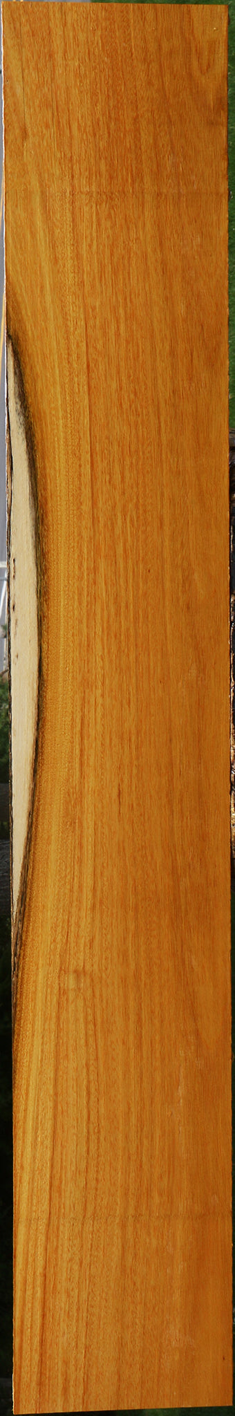 Argentine Osage Orange Lumber