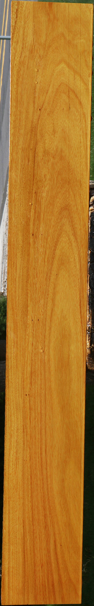 Argentine Osage Orange Lumber