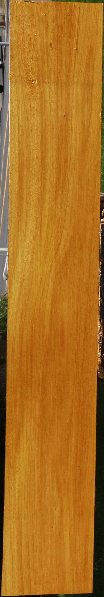 Argentine Osage Orange Lumber
