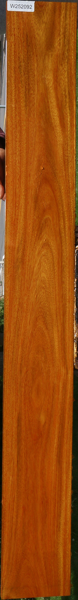 Argentine Osage Orange Lumber