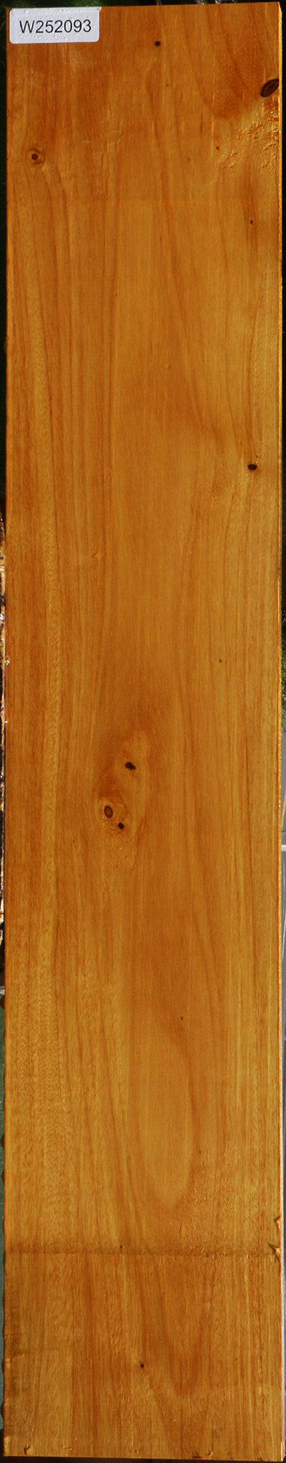 Argentine Osage Orange Lumber