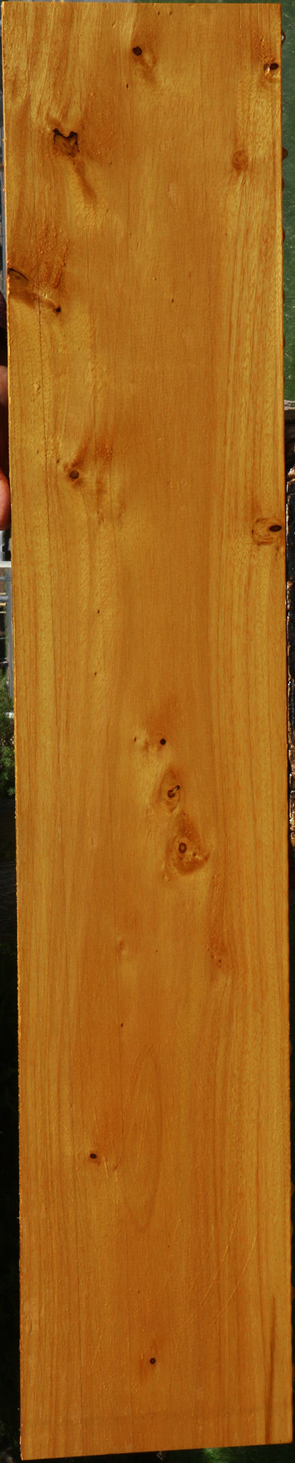 Argentine Osage Orange Lumber