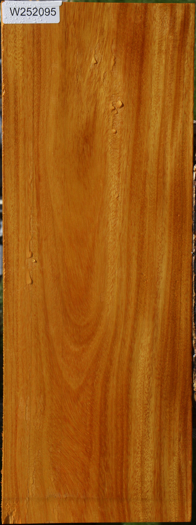 Argentine Osage Orange Lumber