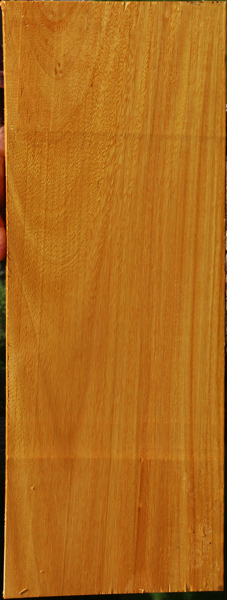 Argentine Osage Orange Lumber