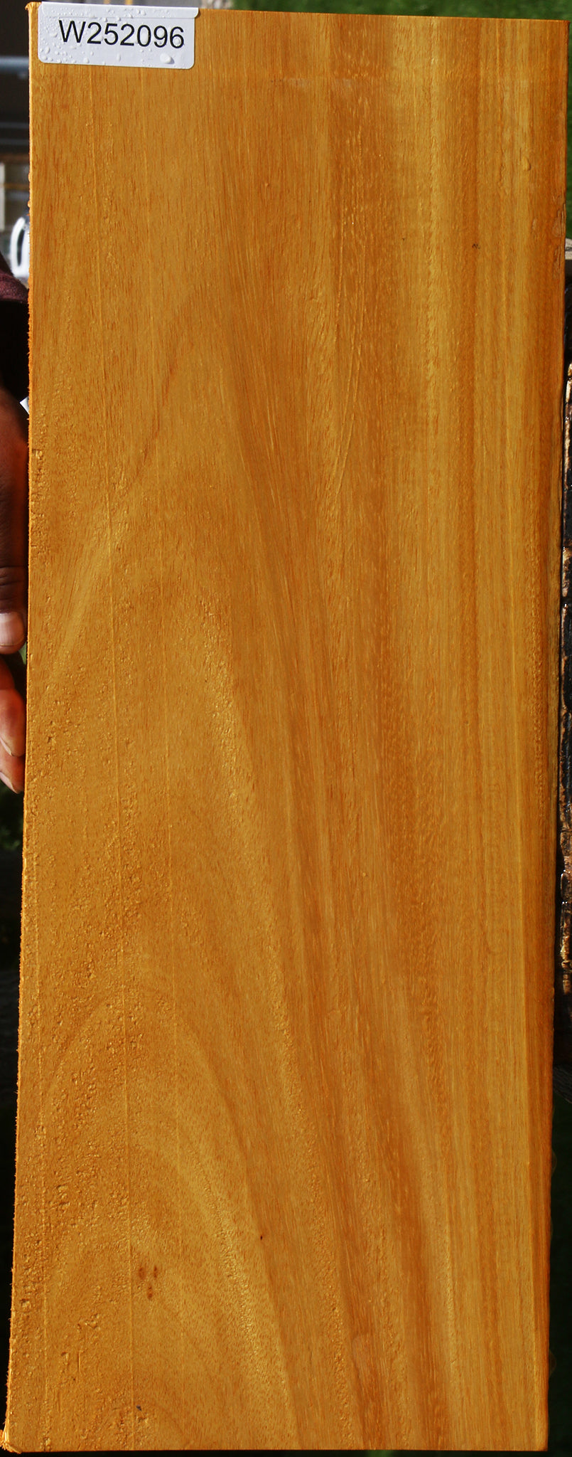 Argentine Osage Orange Lumber