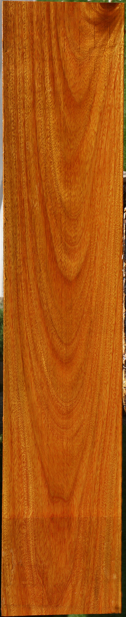 Argentine Osage Orange Lumber