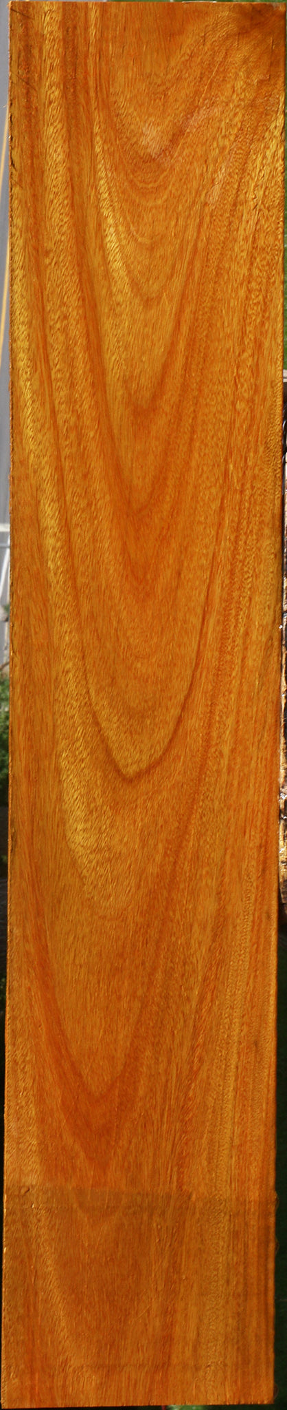 Argentine Osage Orange Lumber