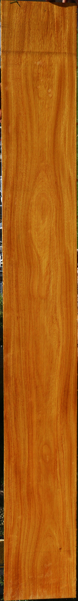 Argentine Osage Orange Lumber