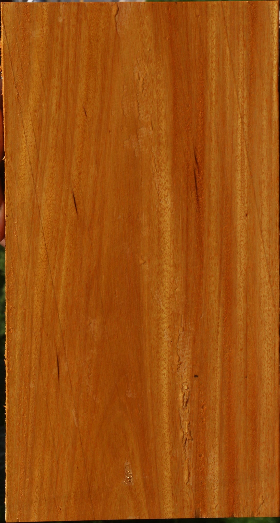 Argentine Osage Orange Lumber
