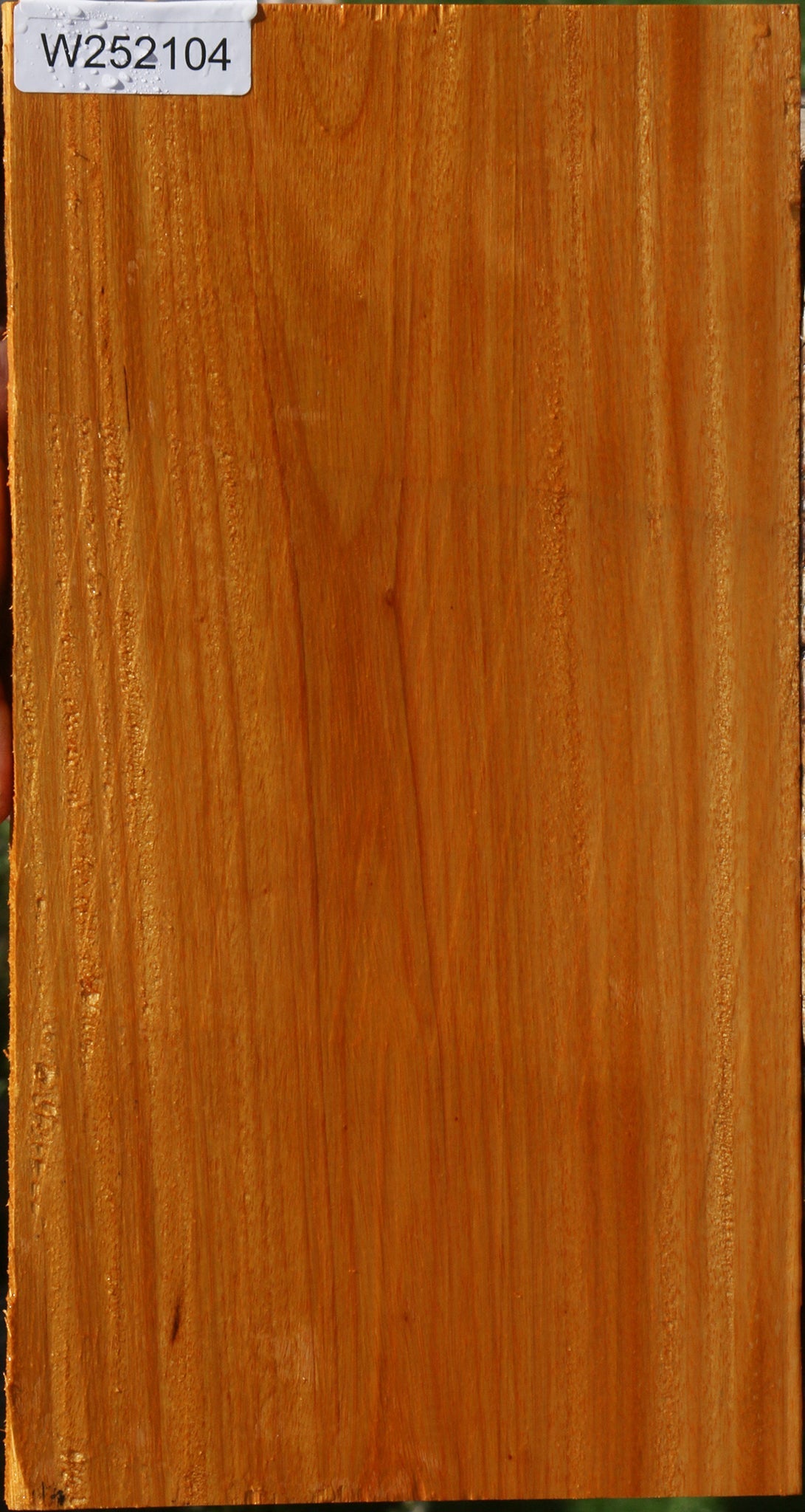 Argentine Osage Orange Lumber