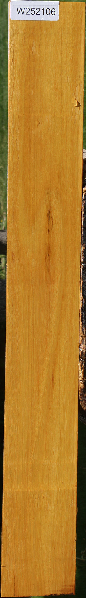 Argentine Osage Orange Lumber