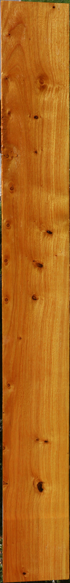 Argentine Osage Orange Lumber