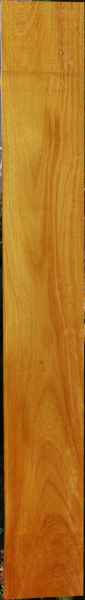 Argentine Osage Orange Lumber