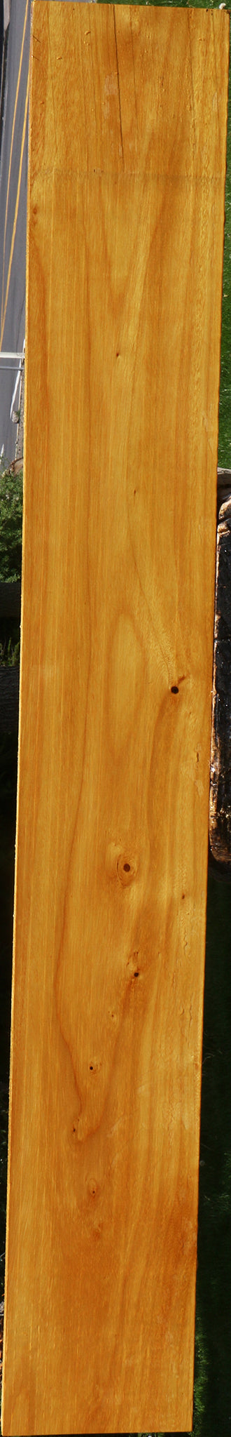 Argentine Osage Orange Lumber