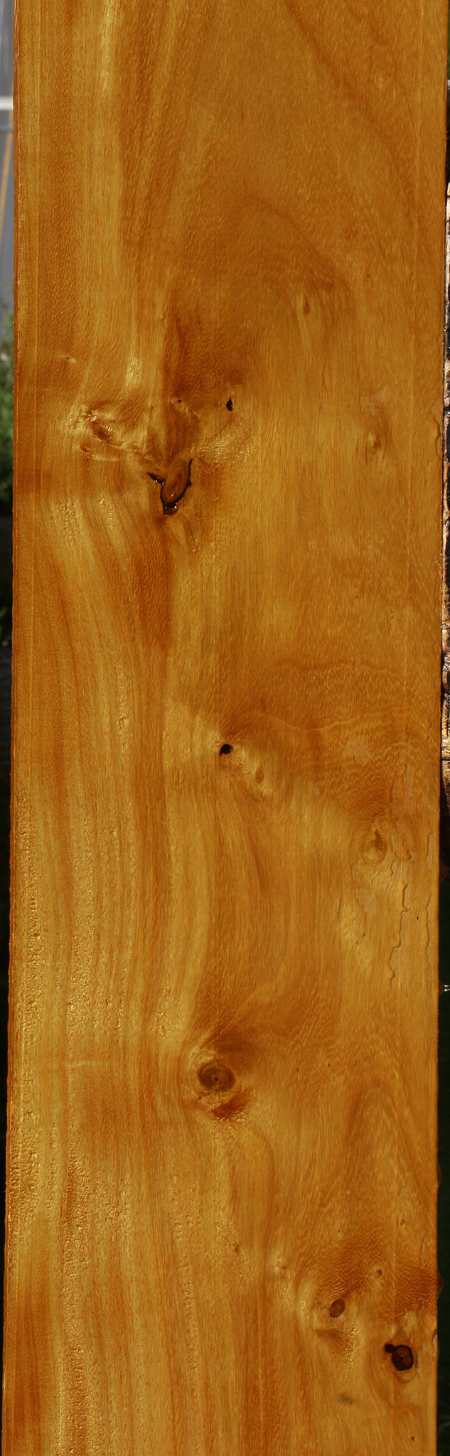 Argentine Osage Orange Lumber