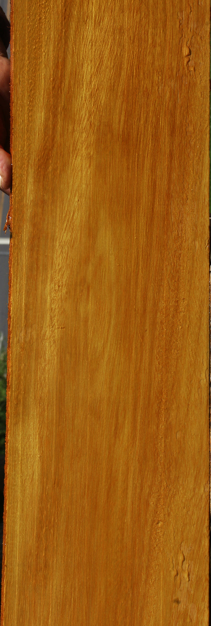 Argentine Osage Orange Lumber