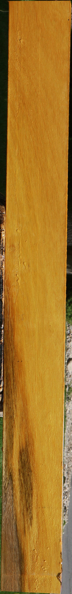 Argentine Osage Orange Lumber