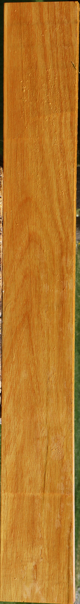 Argentine Osage Orange Lumber