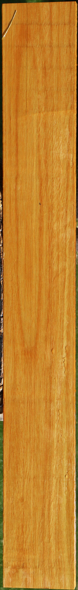 Argentine Osage Orange Lumber
