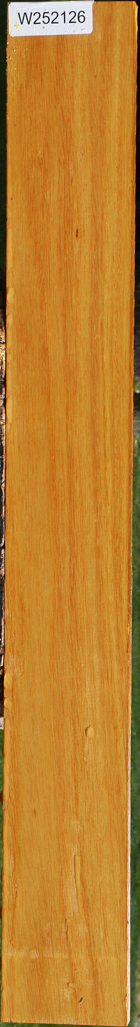 Argentine Osage Orange Lumber