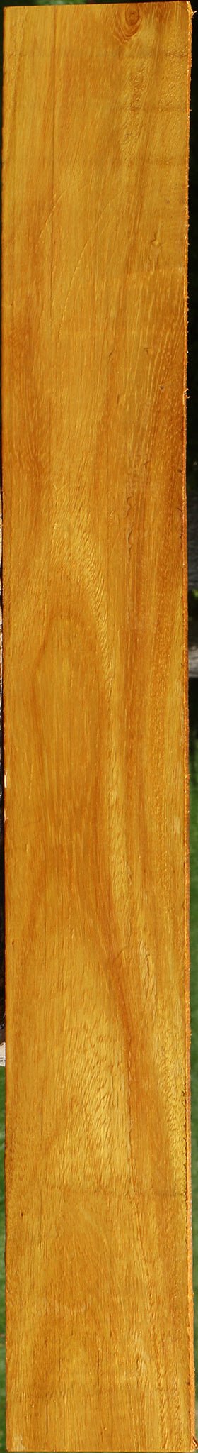 Argentine Osage Orange Lumber