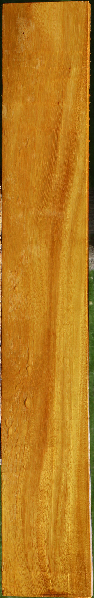 Argentine Osage Orange Lumber