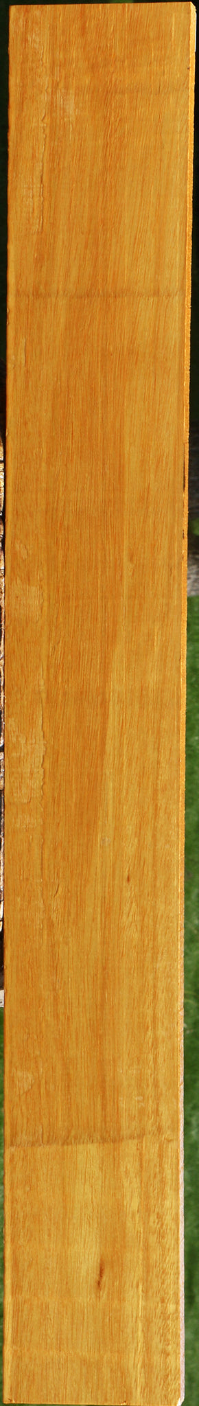 Argentine Osage Orange Lumber