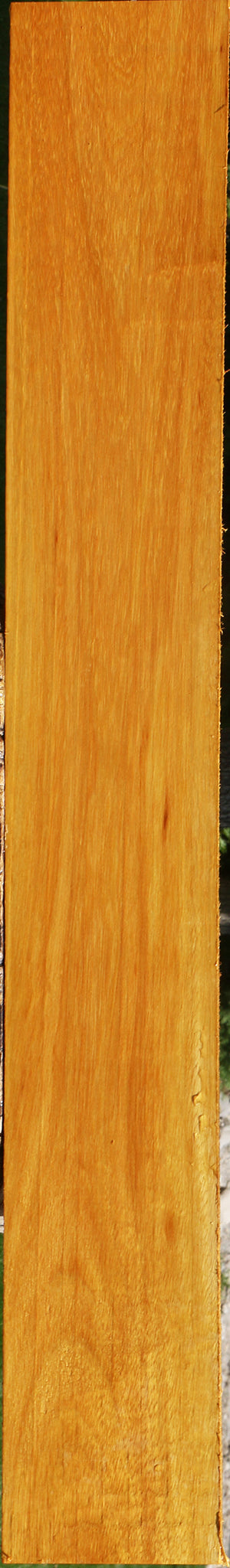 Argentine Osage Orange Lumber