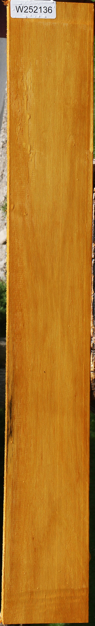 Argentine Osage Orange Lumber