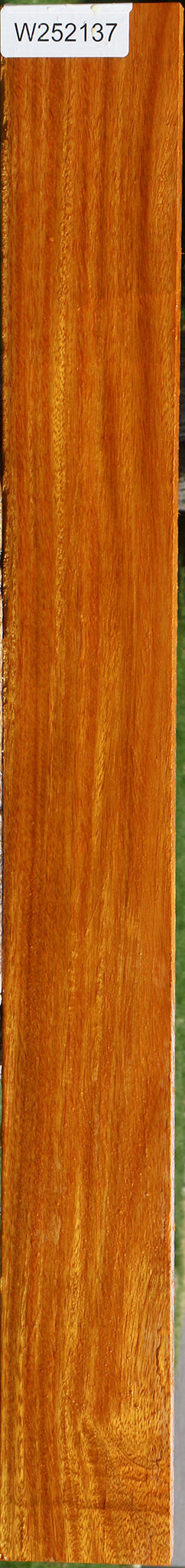 Argentine Osage Orange Lumber