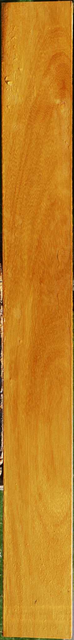 Argentine Osage Orange Lumber