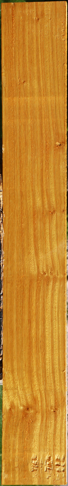 Argentine Osage Orange Lumber