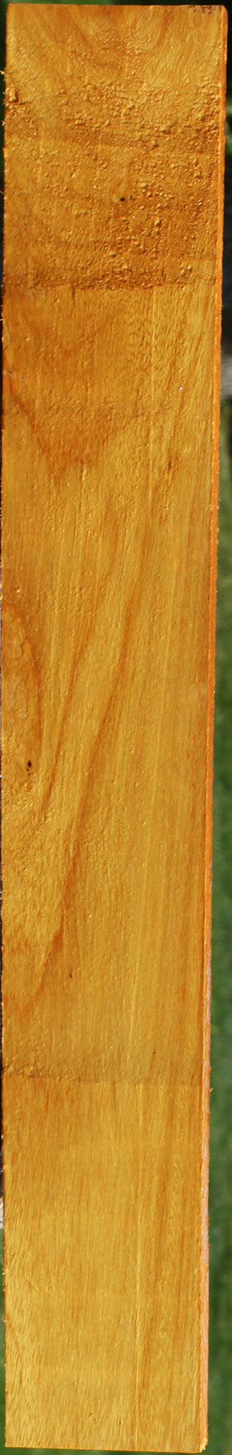 Argentine Osage Orange Lumber