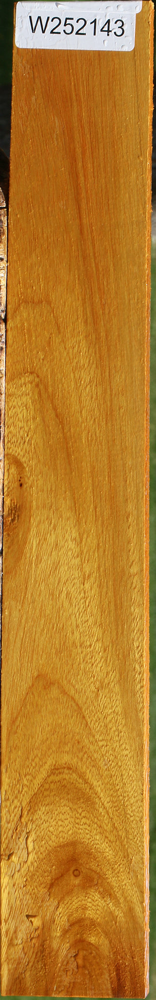 Argentine Osage Orange Lumber