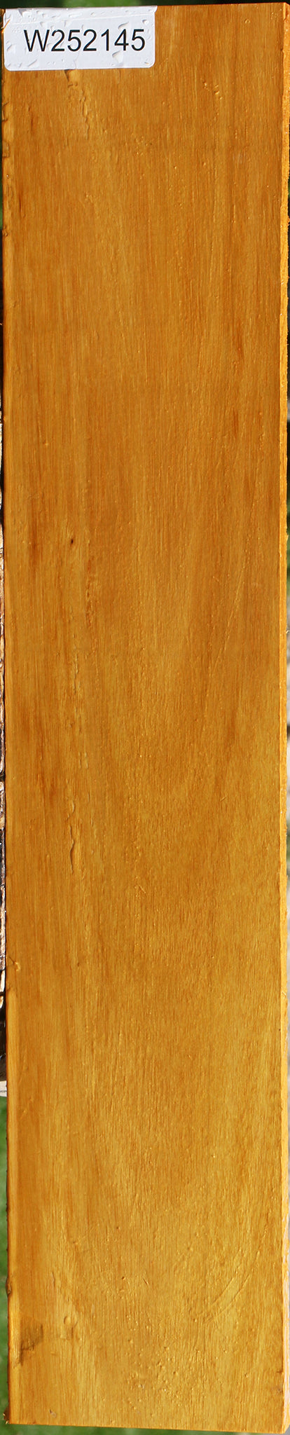 Argentine Osage Orange Lumber