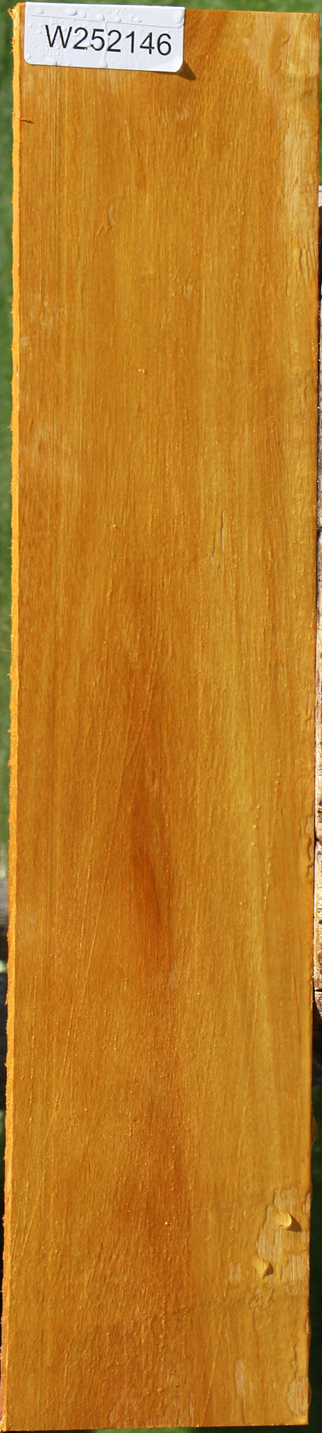 Argentine Osage Orange Lumber