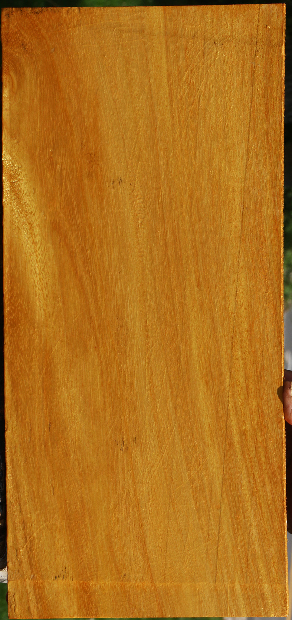 Argentine Osage Orange Lumber
