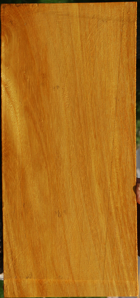 Argentine Osage Orange Lumber