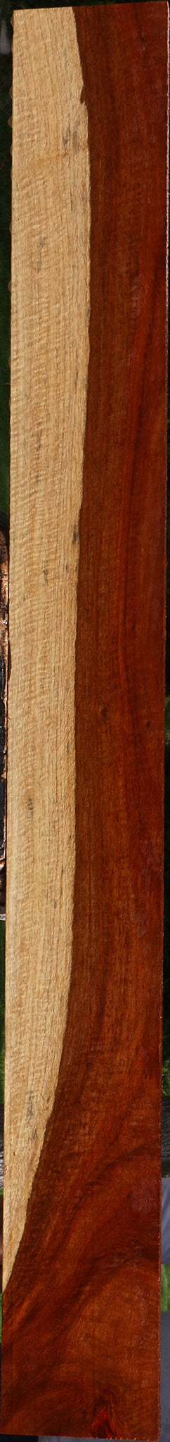 Exhibition Muninga Lumber