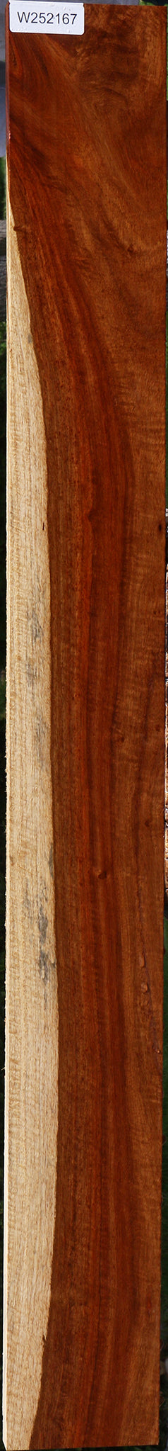 Exhibition Muninga Lumber
