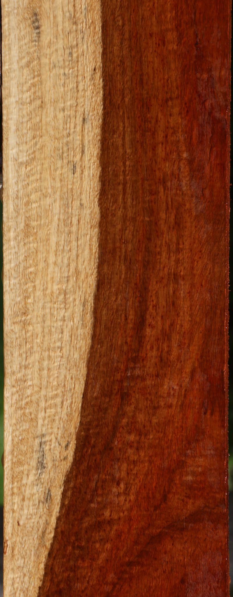 Exhibition Muninga Lumber