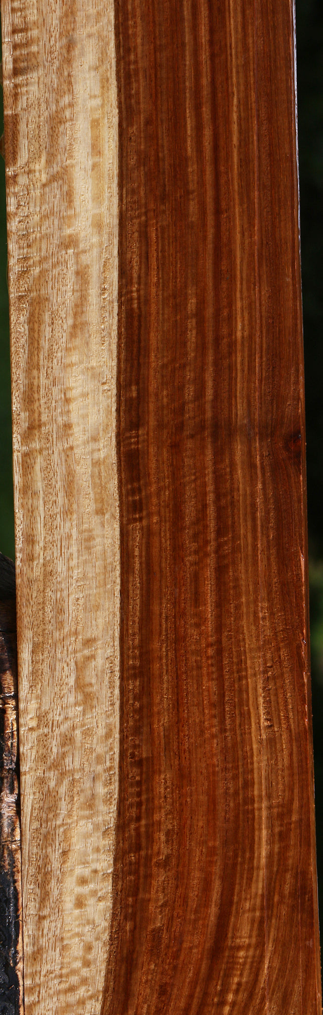 Extra Fancy Muninga Lumber