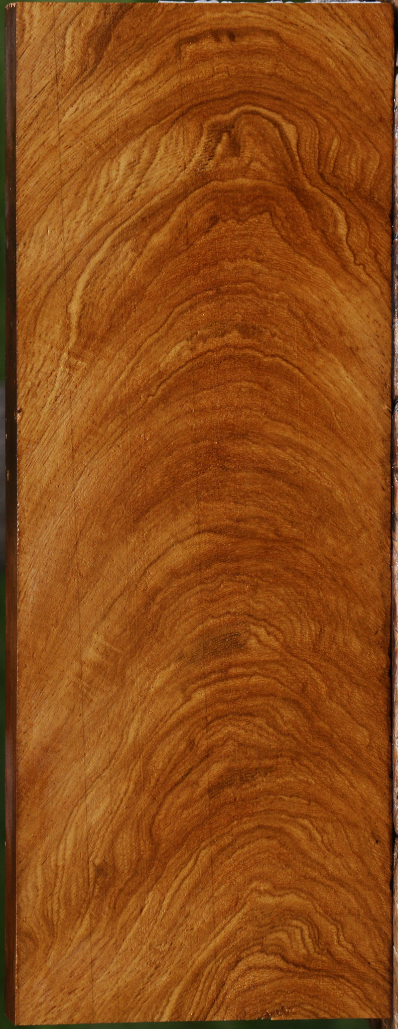Exhibition Cerejeira Lumber