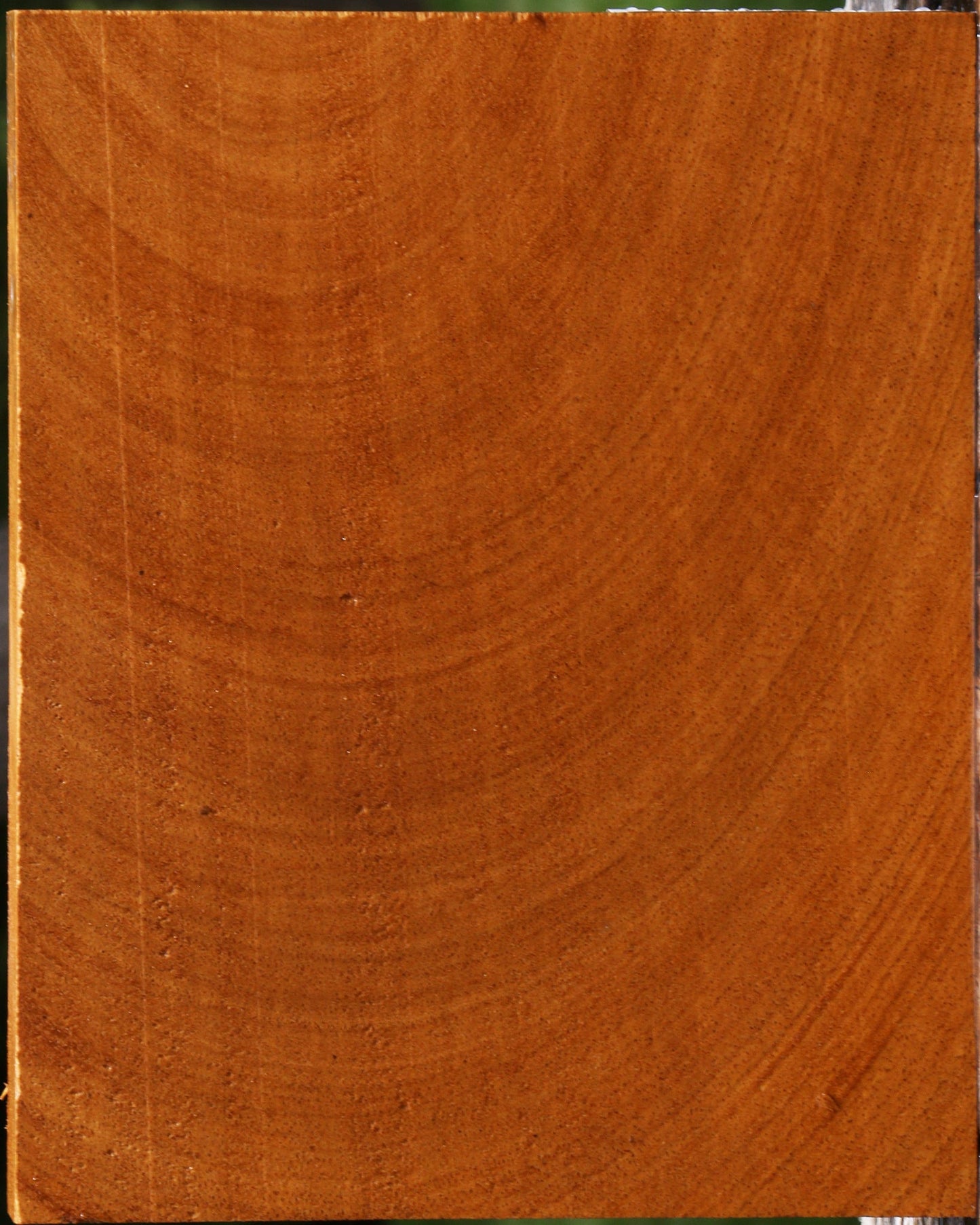 Figured Cerejeira Lumber