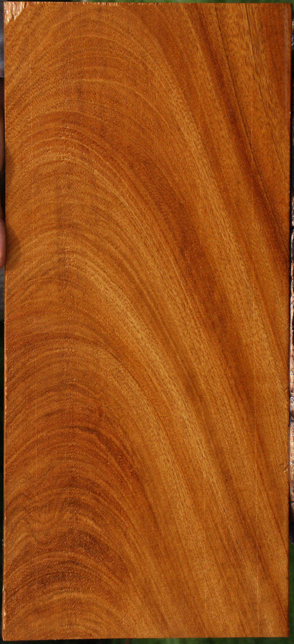 Figured Cerejeira Lumber