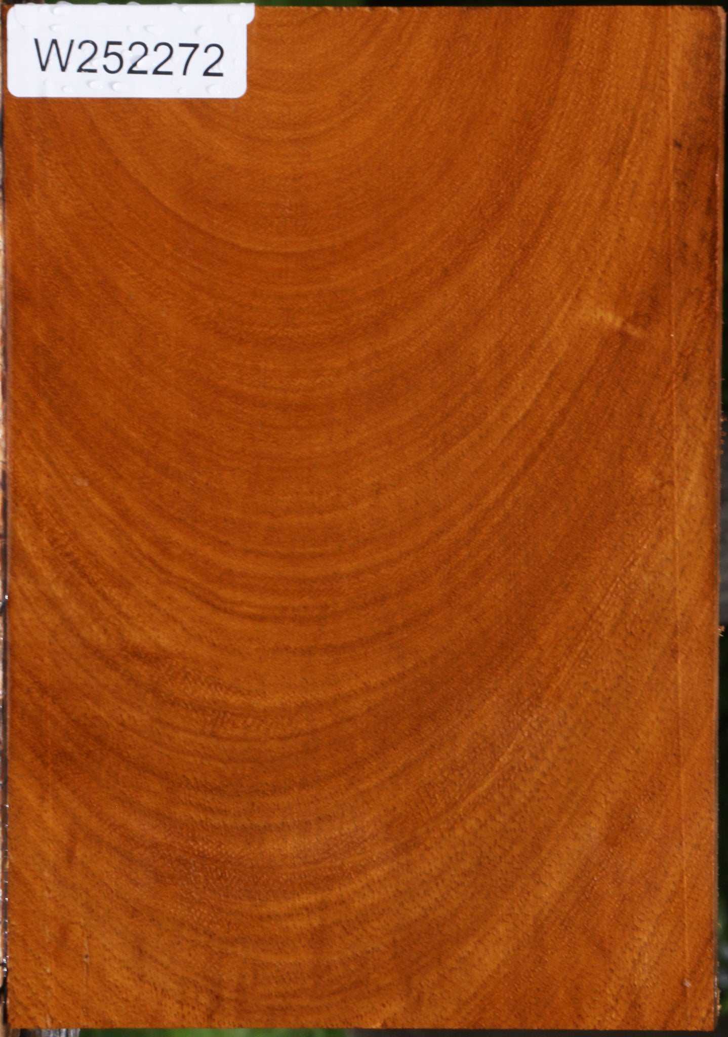 Cerejeira Lumber