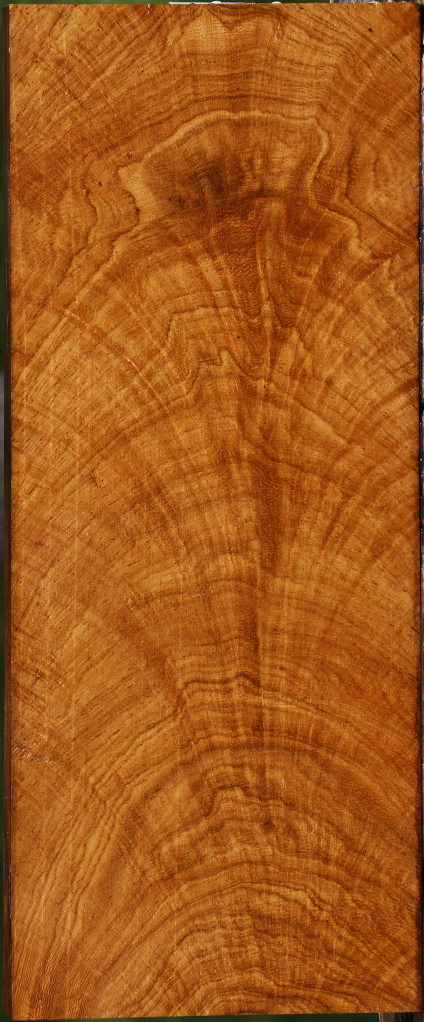 Exhibition Cerejeira Lumber